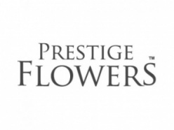 Prestige Flowers