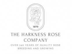 Harkness Roses